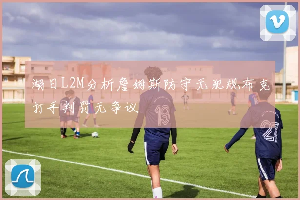 湖日L2M分析詹姆斯防守无犯规布克打手判罚无争议