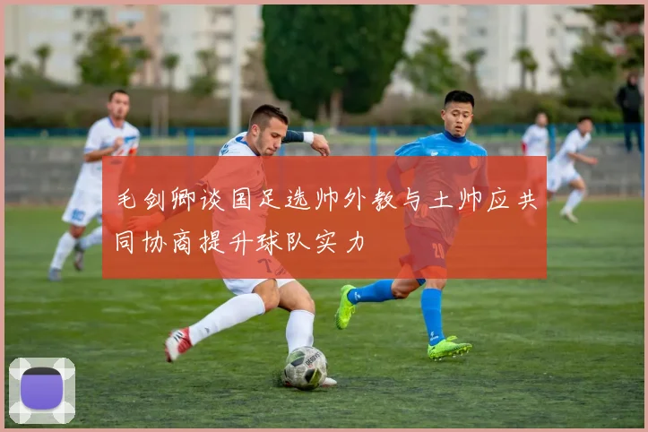毛剑卿谈国足选帅外教与土帅应共同协商提升球队实力