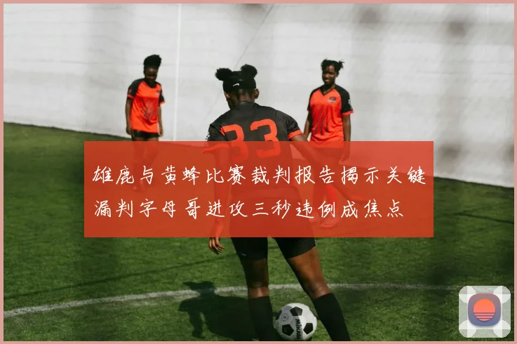 雄鹿与黄蜂比赛裁判报告揭示关键漏判字母哥进攻三秒违例成焦点